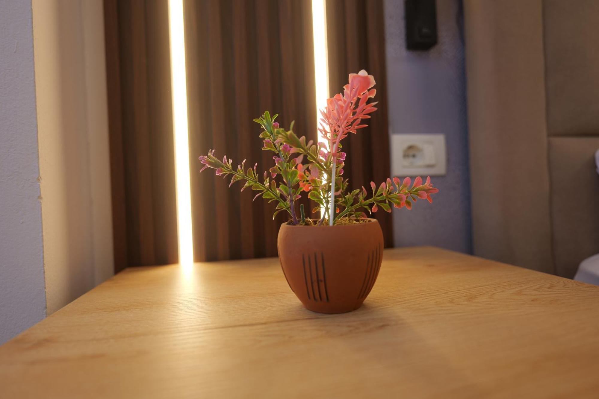 Golden Sleep Hostel Shkodër Екстериор снимка